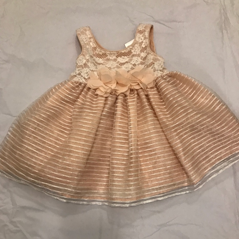 Sweet Heart Rose Dress